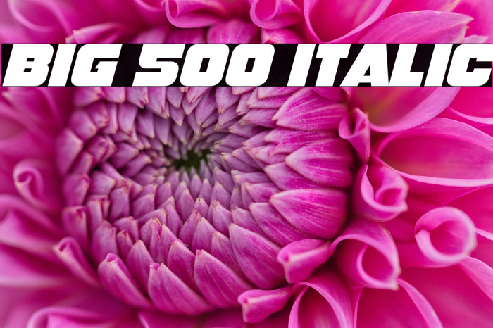 Big 500 Italic Example 3