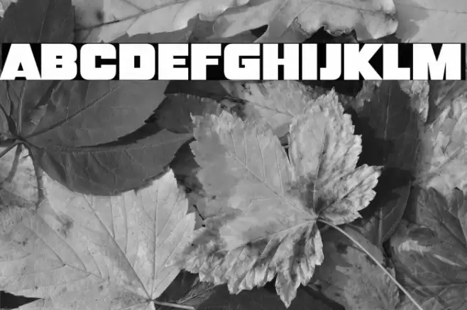 Big 500 Font examples