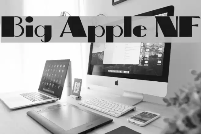 Big Apple NF Font examples