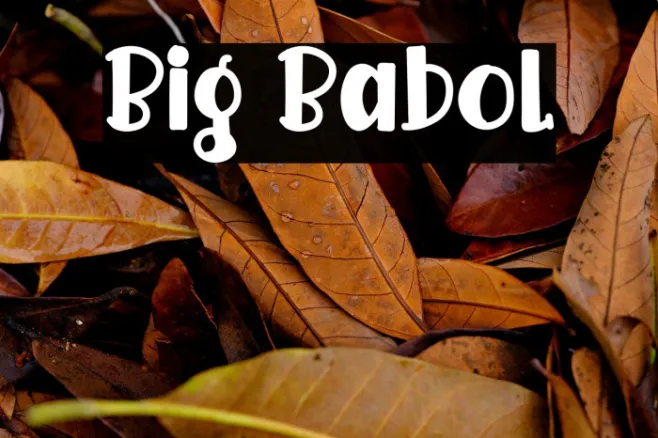 Big Babol Example 1