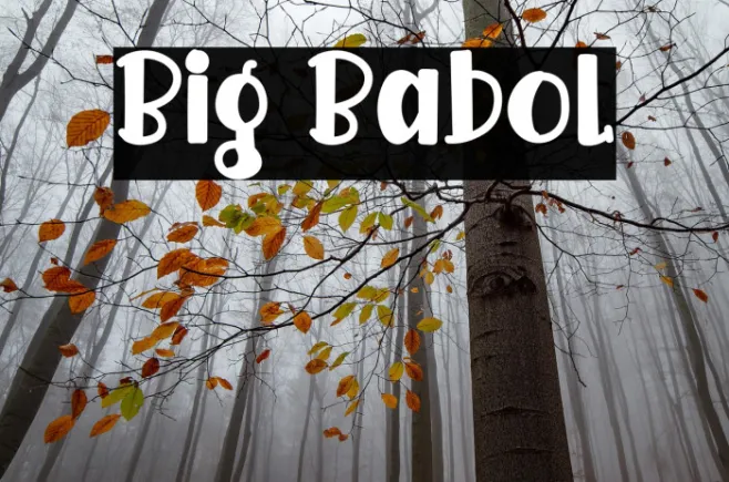 Big Babol Example 3