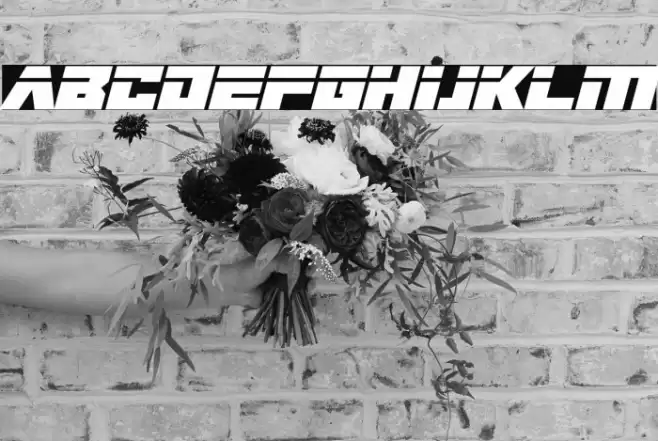 Big Bad Robot Italic Font examples