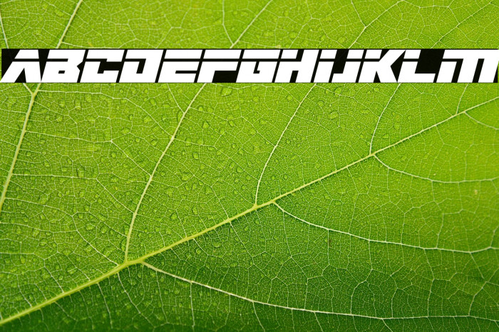 Big Bad Robot Italic Example 3