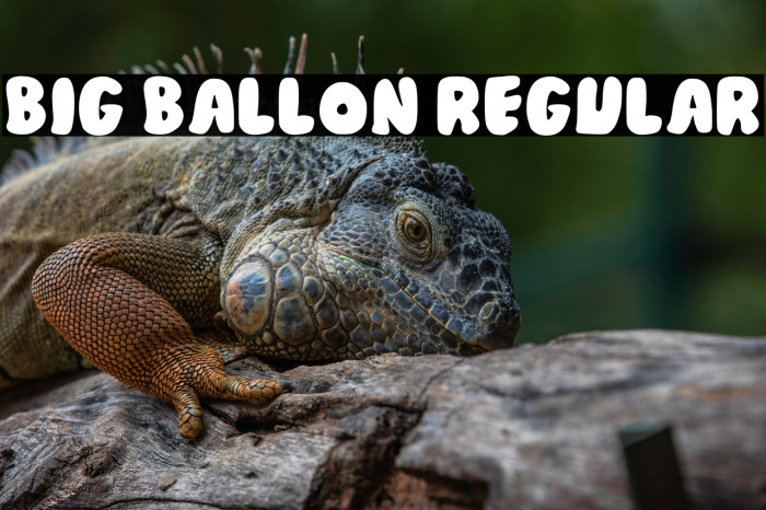 Big Ballon Regular Example 1