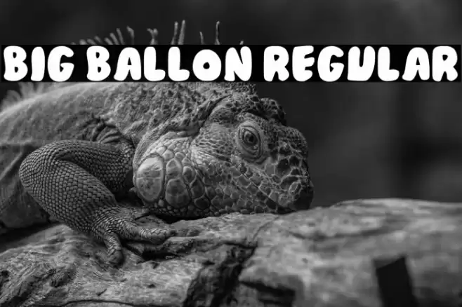 Big Ballon Regular Шрифта examples