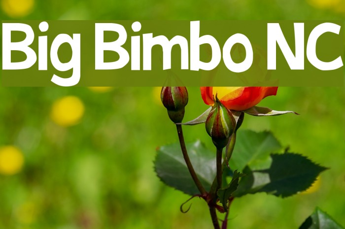 Big Bimbo NC Font examples