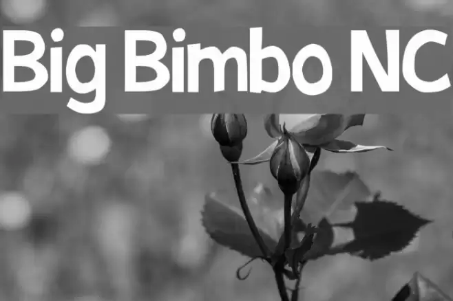 Big Bimbo NC Font examples
