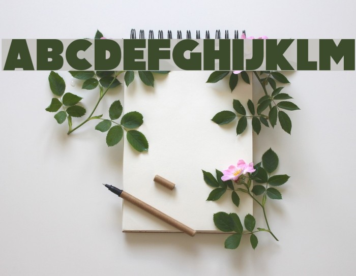 Big Black Bear Font examples