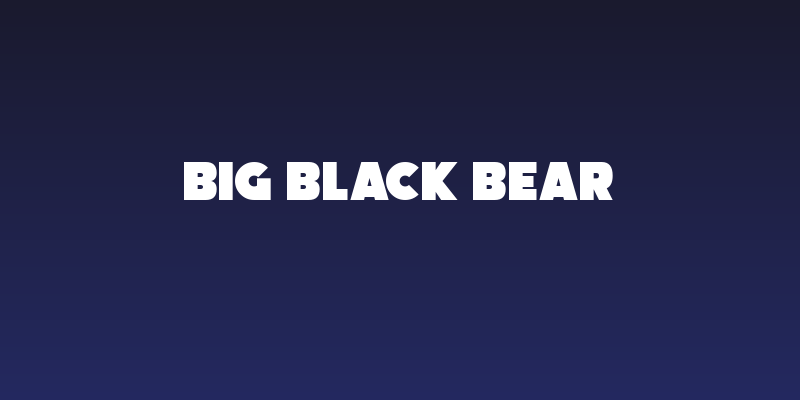 Big Black Bear Social Header