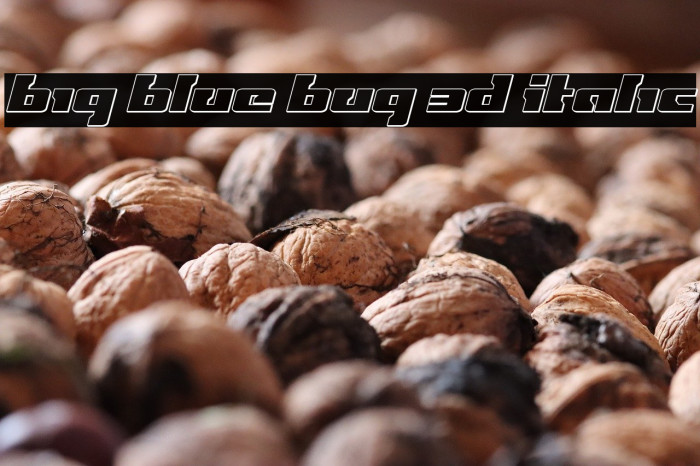 Big Blue Bug 3D Italic Example 3