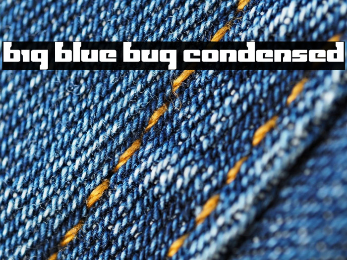 Big Blue Bug Condensed Example 2