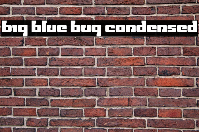 Big Blue Bug Condensed Example 3