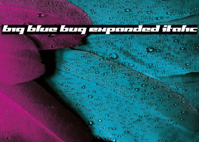 Big Blue Bug Expanded Italic Example 1