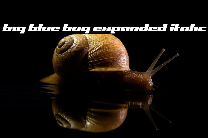 Big Blue Bug Expanded Italic Example 2