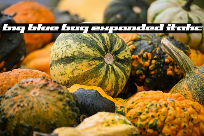 Big Blue Bug Expanded Italic Example 3