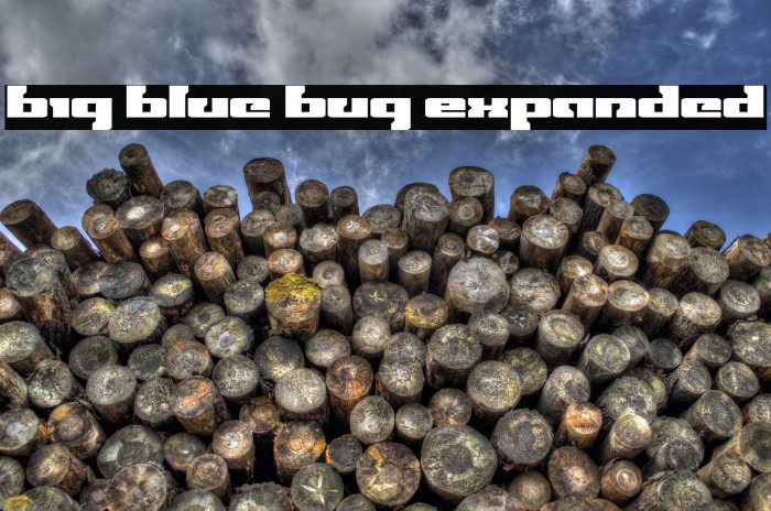 Big Blue Bug Expanded Example 1