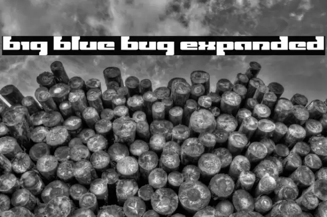 Big Blue Bug Expanded Font examples
