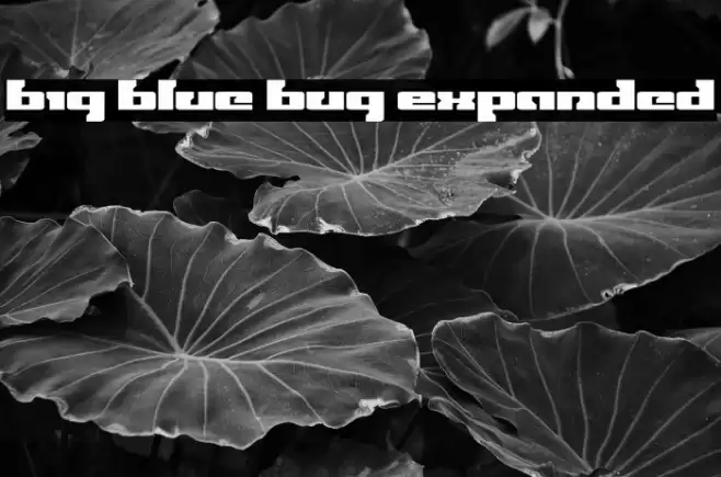 Big Blue Bug Expanded Font examples
