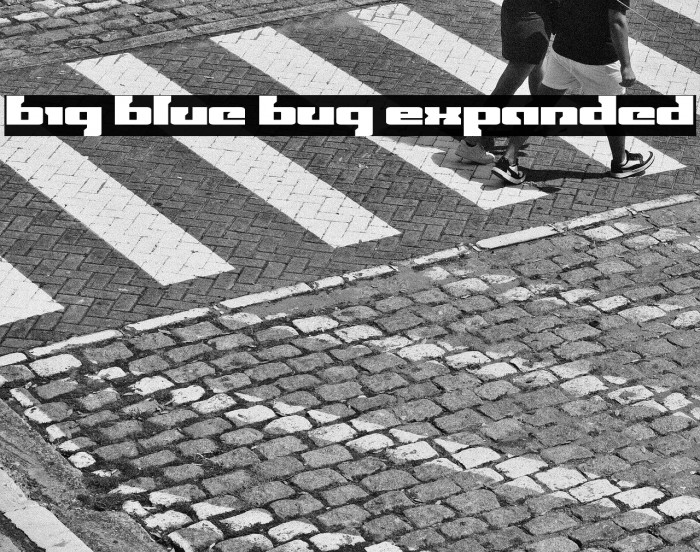 Big Blue Bug Expanded Example 3