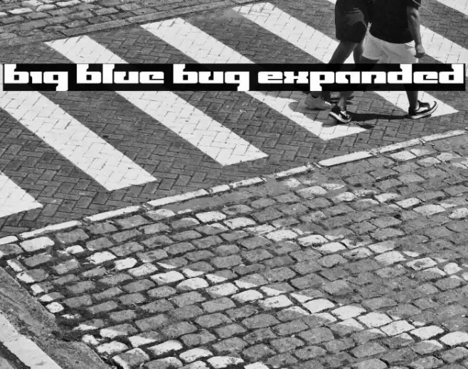 Big Blue Bug Expanded Font examples