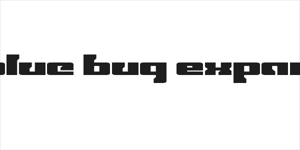Big Blue Bug Expanded Logo