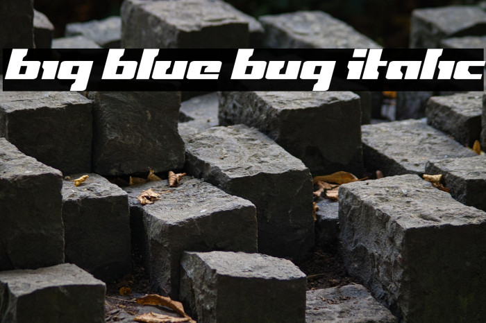 Big Blue Bug Italic Example 1