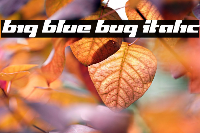 Big Blue Bug Italic Example 2