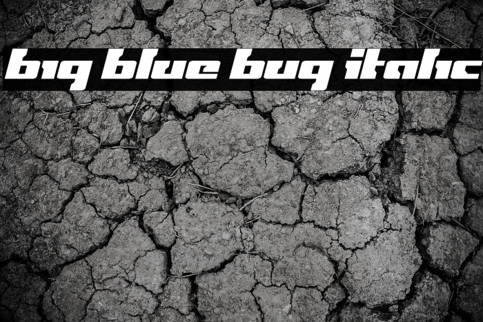 Big Blue Bug Italic Example 3