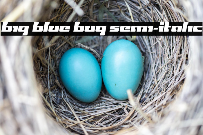 Big Blue Bug Semi-Italic Example 3