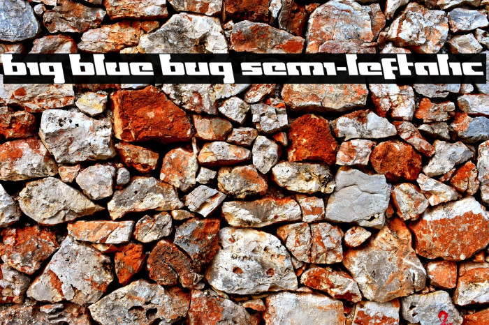 Big Blue Bug Semi-Leftalic Example 2