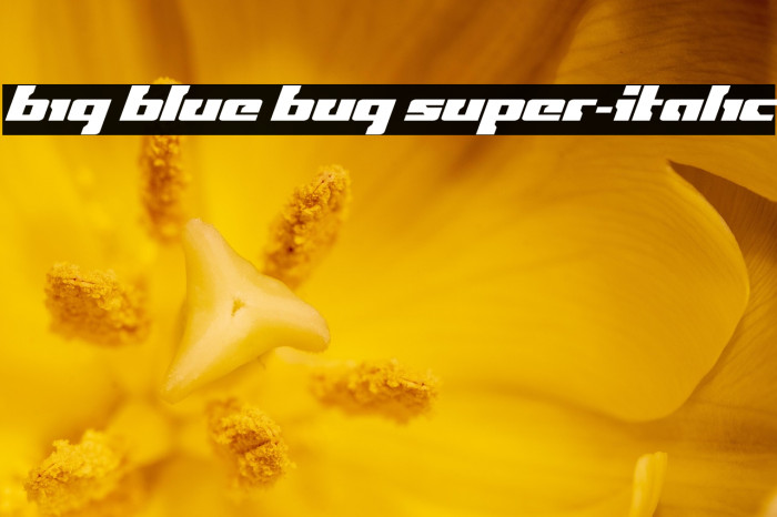 Big Blue Bug Super-Italic Example 1
