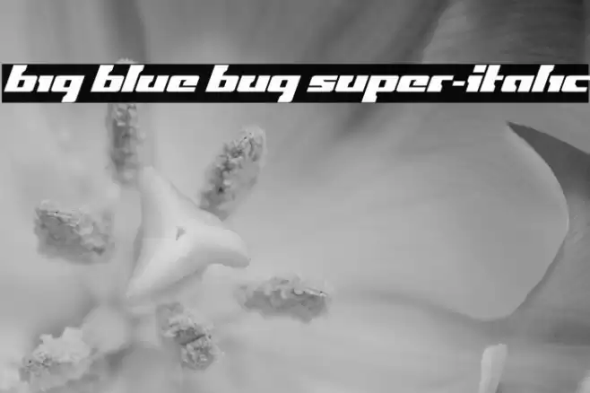 Big Blue Bug Super-Italic Font examples