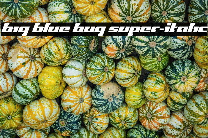 Big Blue Bug Super-Italic Example 2