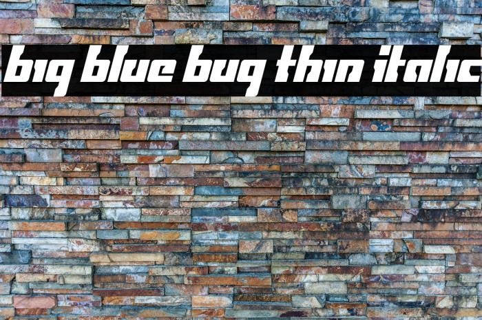Big Blue Bug Thin Italic Example 1
