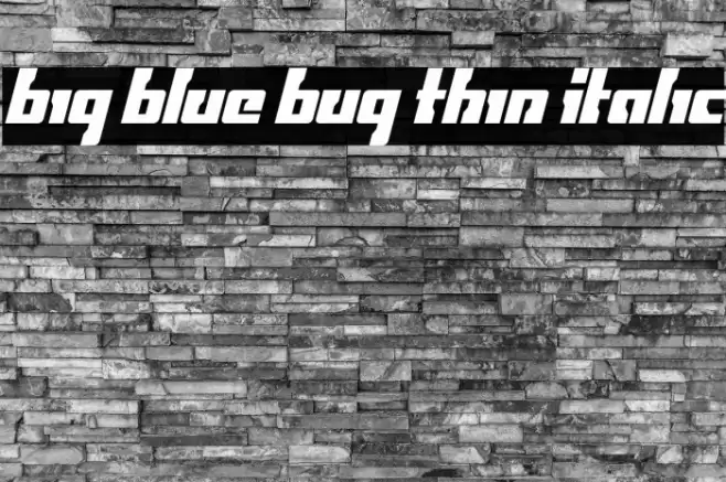 Big Blue Bug Thin Italic Font examples