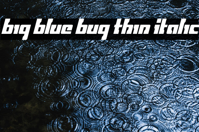 Big Blue Bug Thin Italic Example 2