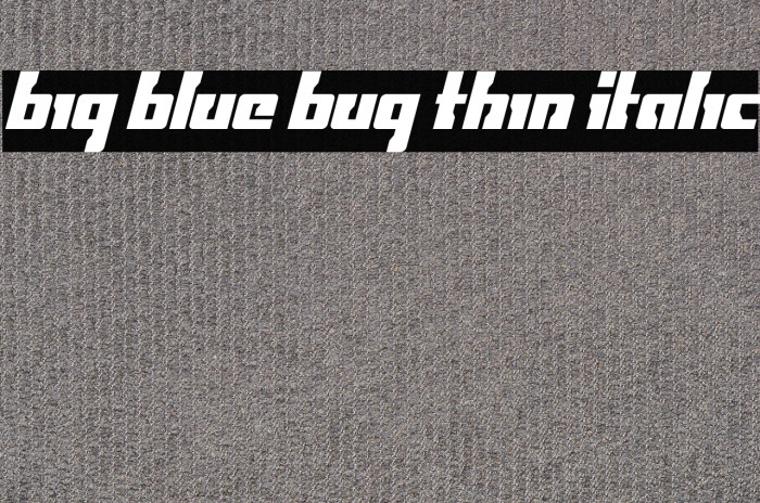 Big Blue Bug Thin Italic Example 3