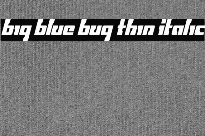 Big Blue Bug Thin Italic Font examples