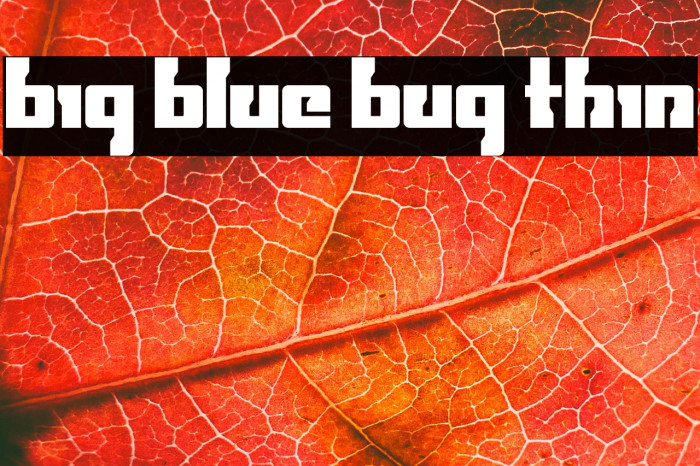 Big Blue Bug Thin Example 1