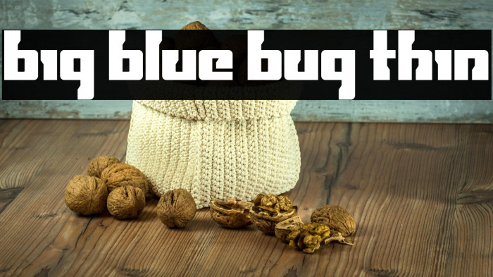 Big Blue Bug Thin Example 2