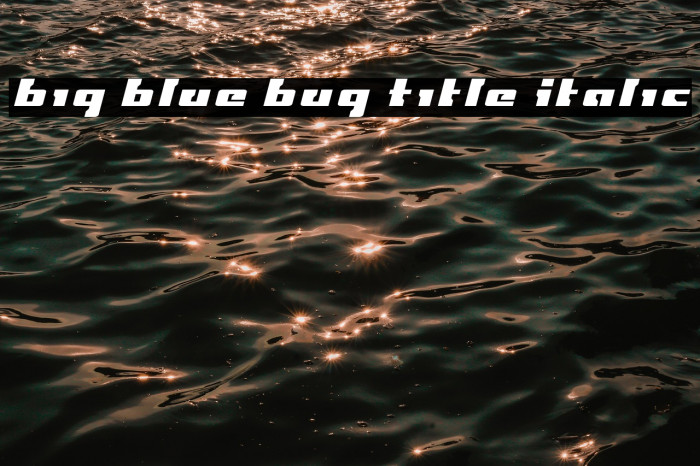 Big Blue Bug Title Italic Example 3