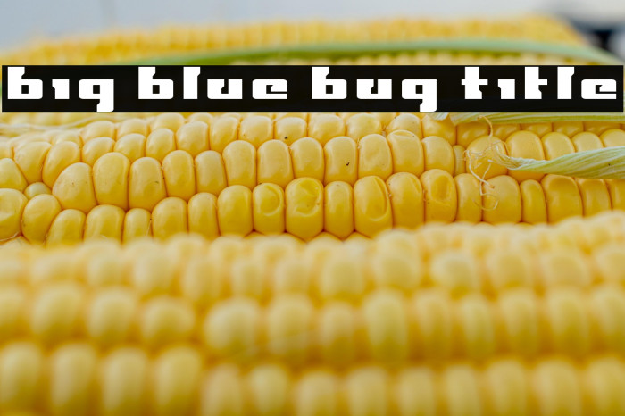 Big Blue Bug Title Example 1