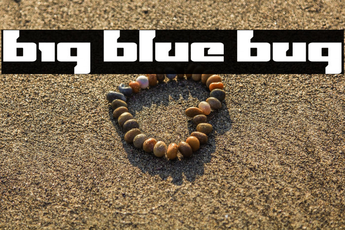 Big Blue Bug Example 3