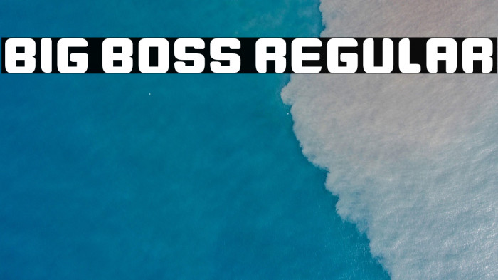 Big Boss Regular Example 1