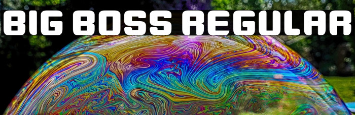 Big Boss Regular Example 2