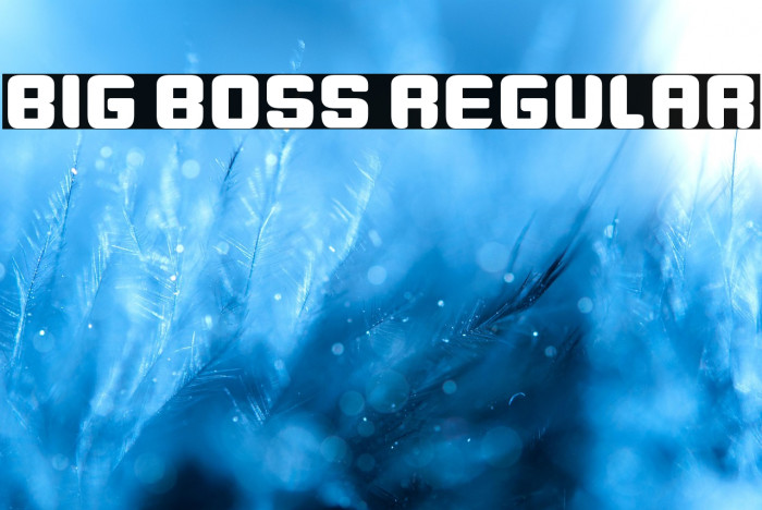 Big Boss Regular Example 3