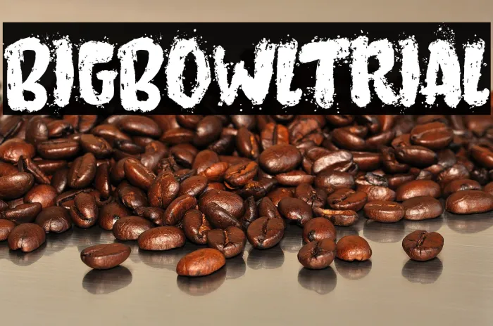 Big Bowl Trial Example 3