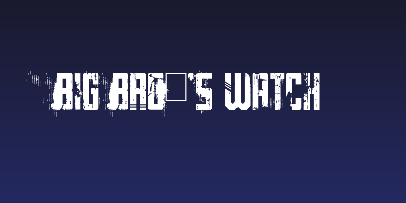 Big Bro's Watch Social Header