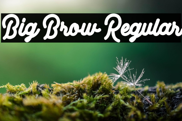 Big Brow Regular Example 2