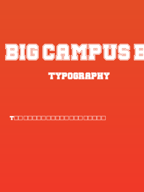Big Campus Bold Poster